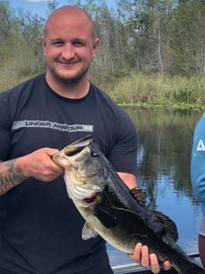 Trophy Largemouth Bass in Florida